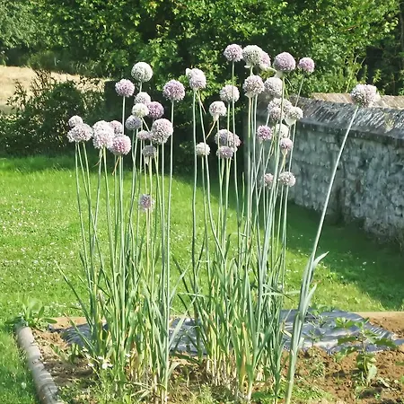 Semesterbostad Le Val Des Roses *